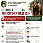Фотодокумент 