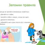 Фотодокумент 38