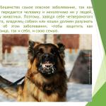 Фотодокумент 33