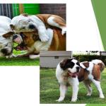 Фотодокумент 23