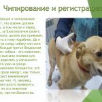 Фотодокумент 31