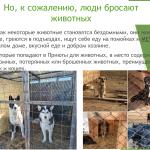 Фотодокумент 46