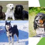 Фотодокумент 25