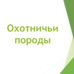 Фотодокумент 24