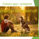 Фотодокумент 19