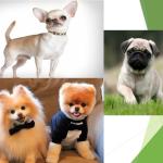 Фотодокумент 27