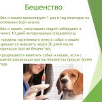 Фотодокумент 34