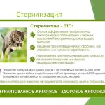 Фотодокумент 39