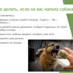 Фотодокумент 45