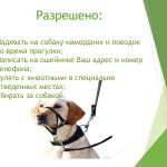 Фотодокумент 43