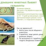 Фотодокумент 35