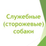 Фотодокумент 21