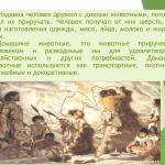 Фотодокумент 17