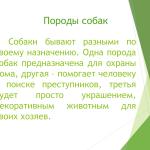 Фотодокумент 20