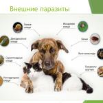 Фотодокумент 36