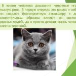 Фотодокумент 18