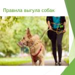 Фотодокумент 41