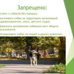 Фотодокумент 44