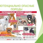 Фотодокумент 28