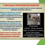 Фотодокумент 40