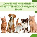 Фотодокумент 16