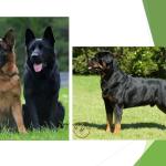 Фотодокумент 22