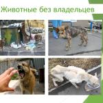 Фотодокумент 47